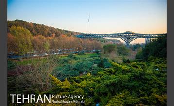 پاییز پل طبیعت 35