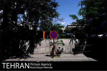 شهرنگار؛ میدان ولیعصر (عج) 23