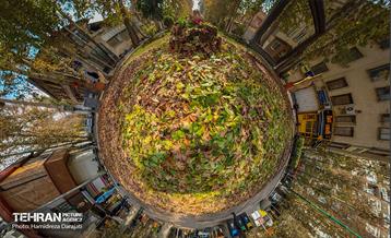 گذرگاه های پاییزی پایتخت - باغ فردوس  29