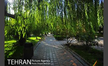 بوستان هنرمندان (ایرانشهر) 11