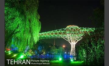 به مناسبت ده سالگی پل طبیعت 20