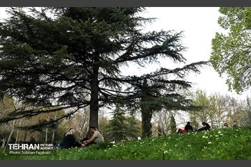 روز طبیعت در بوستان ملت 8