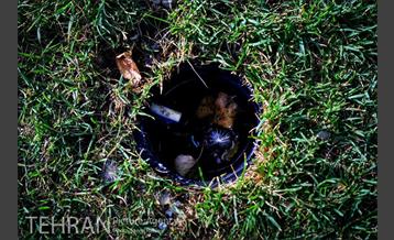 فیلتر سیگار زباله است 22