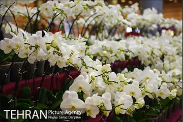 شانزدهمین نمایشگاه گل و گیاه تهران 16