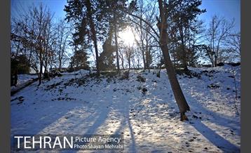 فصل زمستان در بوستان ملت 52