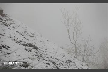 بارش برف زمستانی در تهران 24
