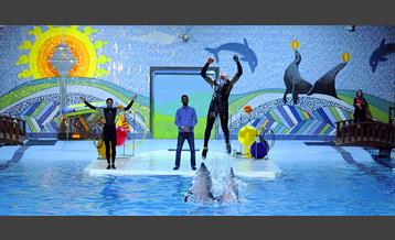 دلفیناریوم برج میلاد 29