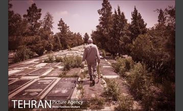 تاخت و تاز در وضعیت قرمز 20