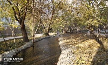 هشتادوششمین رویداد امیدوافتخار 29