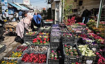 بازار گل شهید محلاتی در آخرین روزهاى سال 24