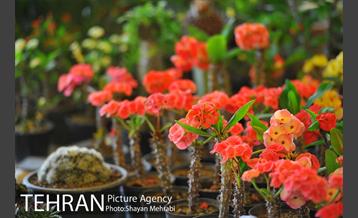 نمایشگاه بین المللی گل و گیاه 16