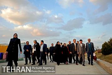 کاشت شش نهال درخت زیتون با حضور کارگرداران سینمای ایران 1