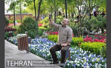 باغ ایرانی (بوستان مهندس مختاری) 15