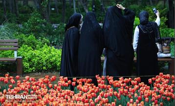 لاله‌ها میهمان باغ ایرانی 38