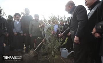 کاشت ۲۴۰۰۰ نهال به یاد شهدای پایتخت 26