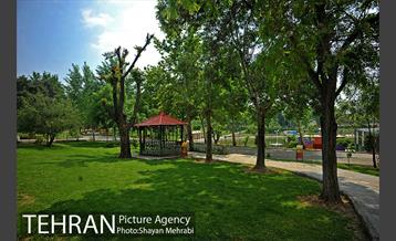 بوستان بعثت 29