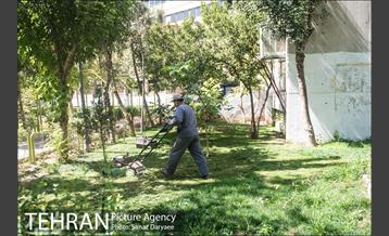 شهرک اکباتان‎ 7