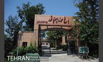 بوستان مینیاتور 45