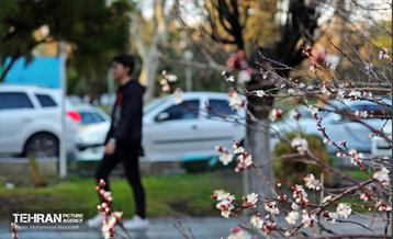 استقبال از بهار - 5 10