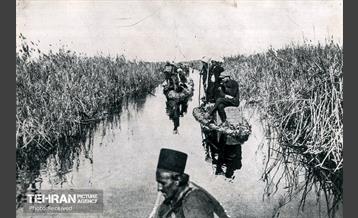 پست در گذر تاریخ 14