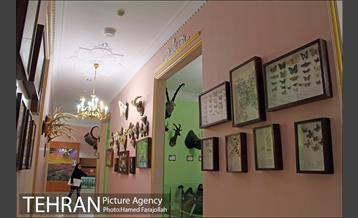 موزه آثار طبیعی و حیات وحش هفت چنار 11