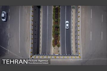 به بهانه پنجاهمین سالگرد تاسیس بهشت زهرا 22
