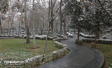 بارش برف در تهران 1