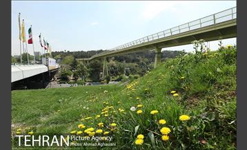 پل جدید بوستان آب و آتش 7