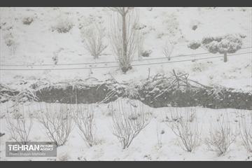 بارش برف زمستانی در تهران 10