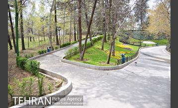 روز طبیعت متفاوت شهر تهران-1 22