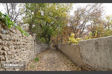 طبیعت پاییزی کوچه باغ‌های محله کن 18