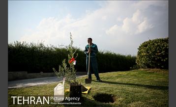 آئین درخت کاری به مناسبت تولد گاندی 19