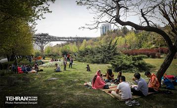 روز طبیعت در پارک ساعی و حاشیه اتوبان مدرس  44