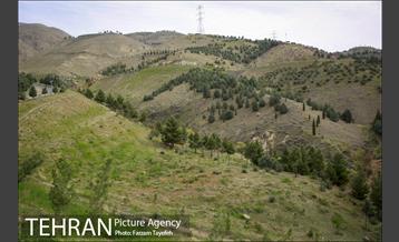 روز طبیعت در بوستان هاى منطقه ٥