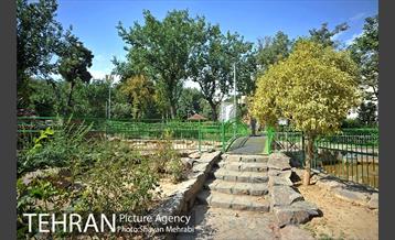 بوستان هفت چنار 12