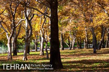 پاییز در پارک های تهران 5