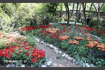 بازدید اصحاب رسانه از باغ ایرانی 2