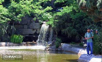 طبیعت بهاری در باغ ملی گیاهشناسی ایران 4