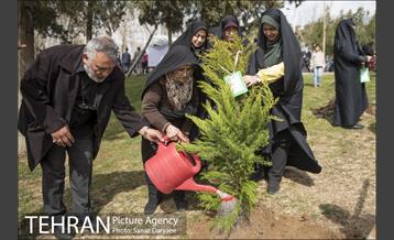 درختکاری و لانه گذاری کبوتر در بوستان بعثت 22