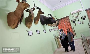 افتتاح اولین سامانه هوشمندسازی موزه‌ها ویژه نابینایان 7