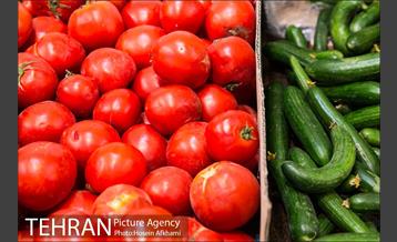 میوه های تابستانه رونق میوه فروشی ها 7