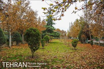 پاییز در بوستان رازی 23