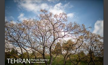 پاییز زیبای پایتخت- 3
