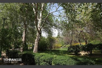 بوستان بانوان نرگس 26