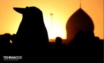 خدمات شهرداری منطقه ۱۱ در گذرگاه مرزی مهران  13