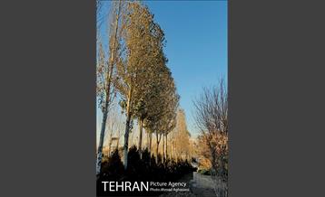 باغ موزه قصر تهران 6