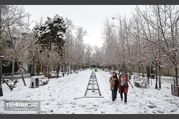 روز زمستانی تهران 12