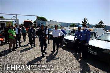 نقاهتگاه سگ های بدون صاحب واقع در آراد کوه 2