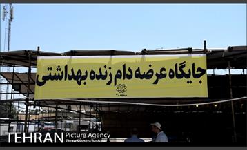 آماده سازی قربانگاه منطقه ۲۰ ( شهرری )  7