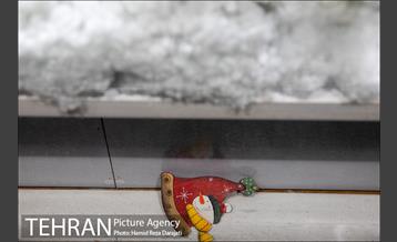 خرید سال نو میلادی در تهران 26